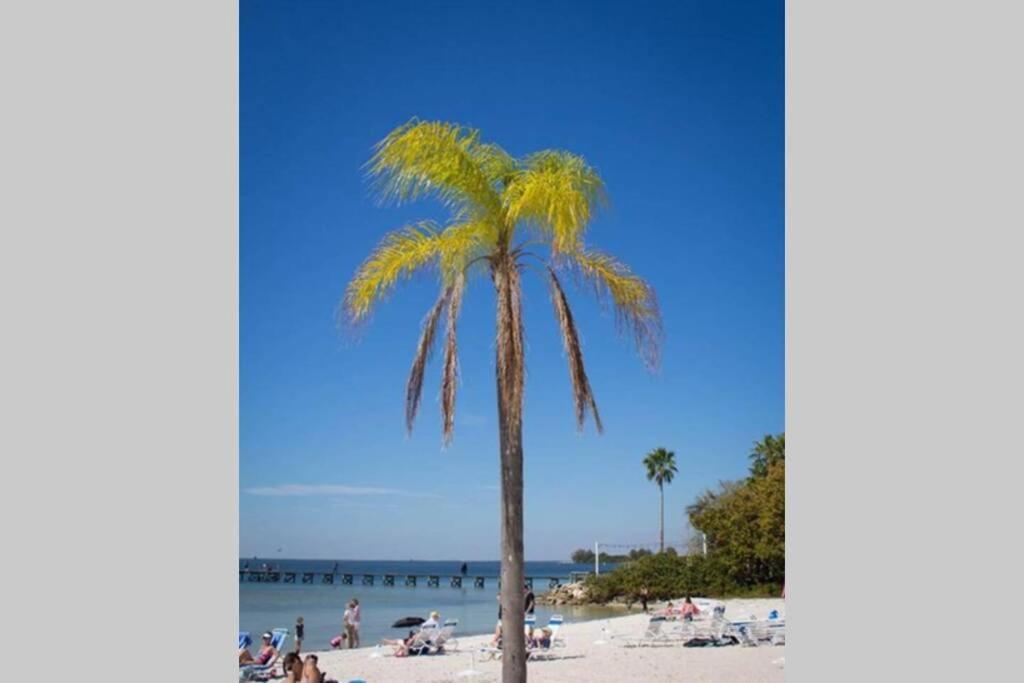 Bay View, Studio206, Beach Steps Away! Pool+Wifi Ruskin Exterior photo